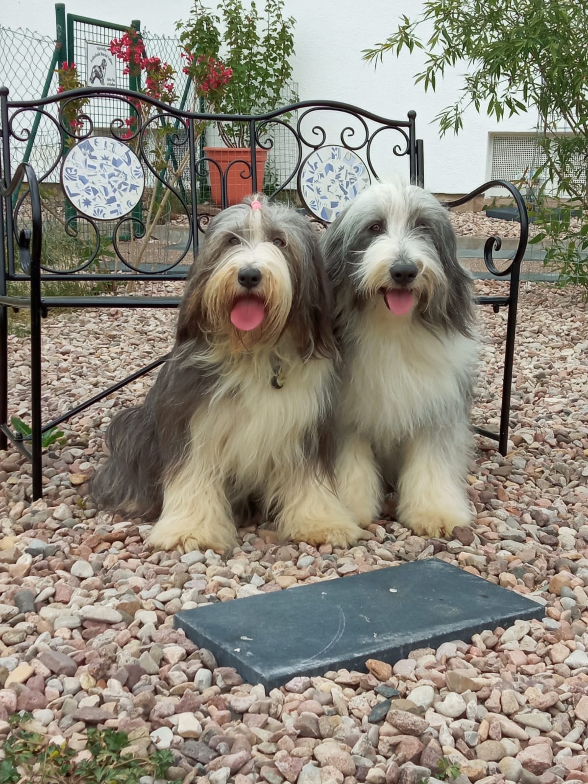 Enna und George